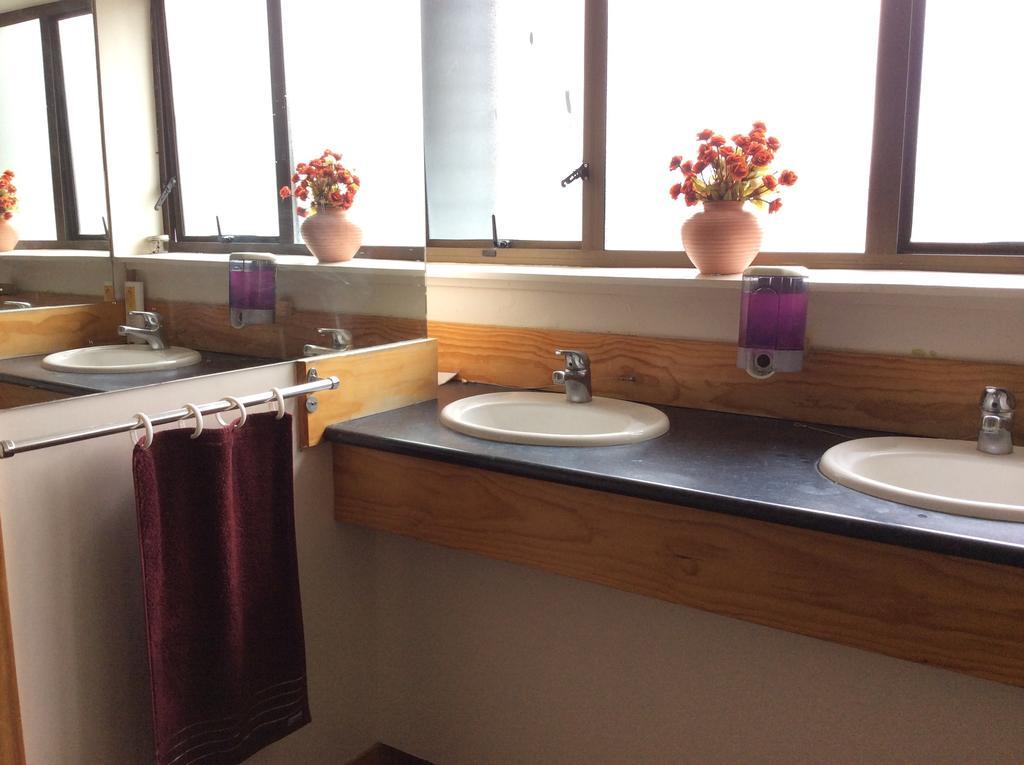 Wild Zebra Backpackers Hostel Wellington Bagian luar foto