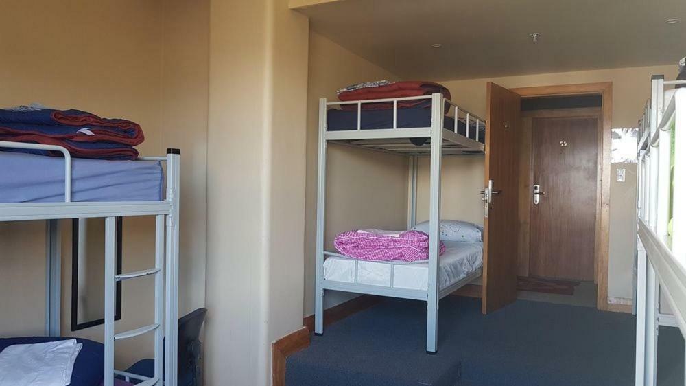 Wild Zebra Backpackers Hostel Wellington Bagian luar foto